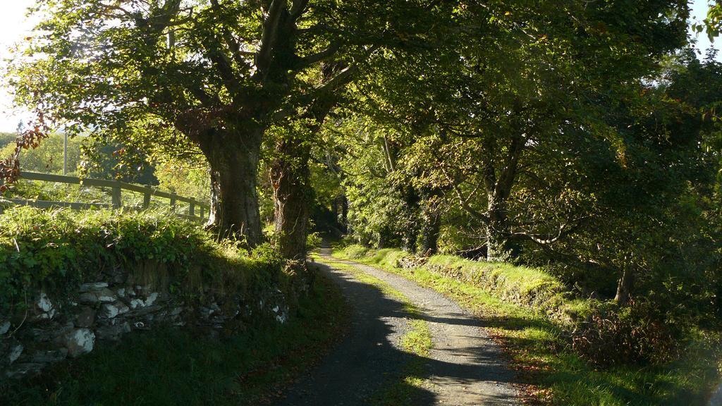 Roberts' Cottage Westport Luaran gambar